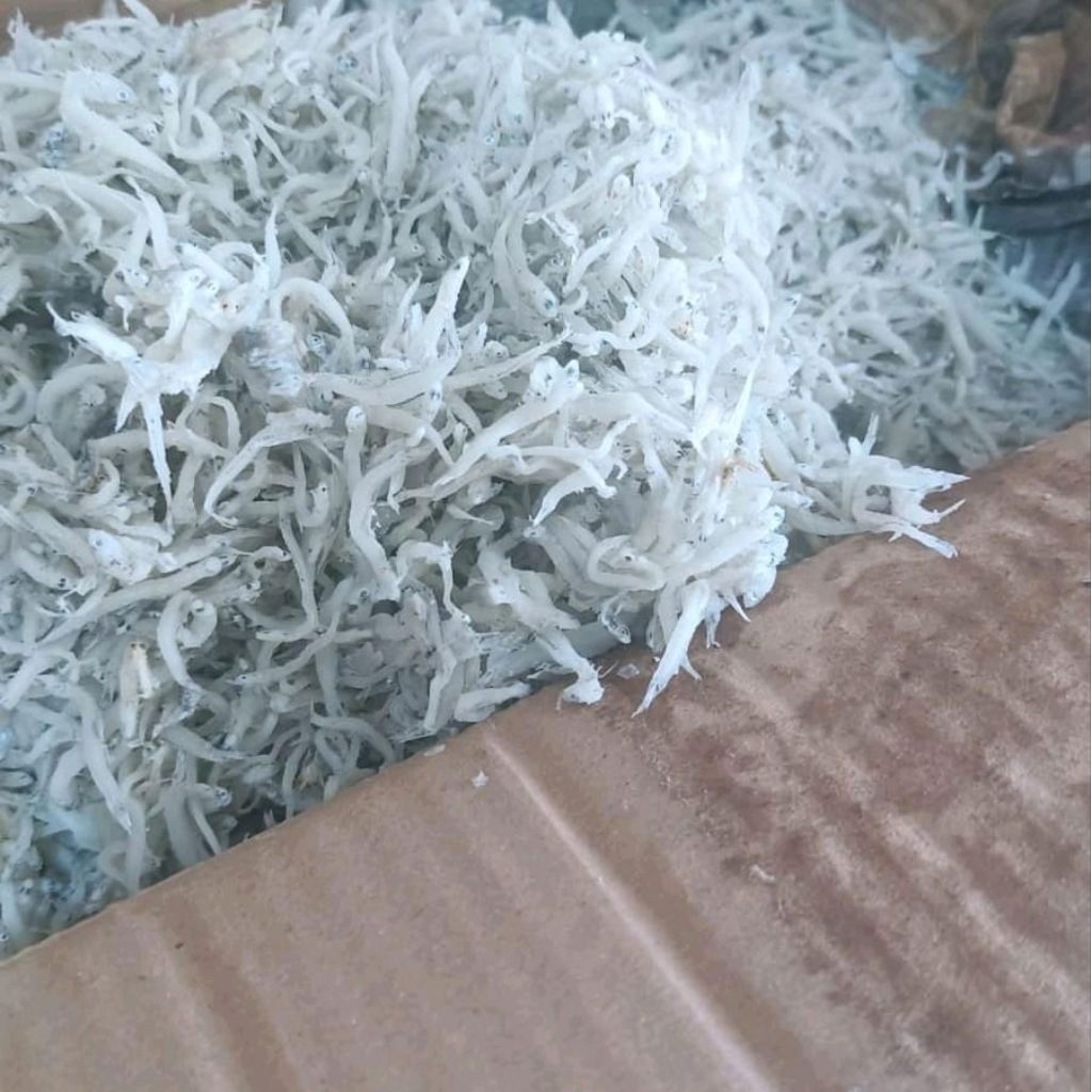 

teri nasi 500 gram teri medan