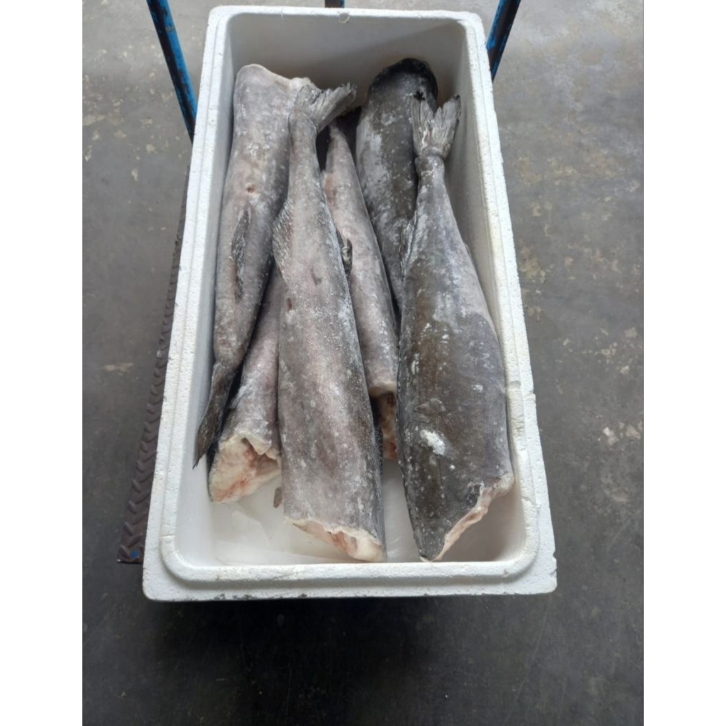 

Black Cod Import Alaska Whole