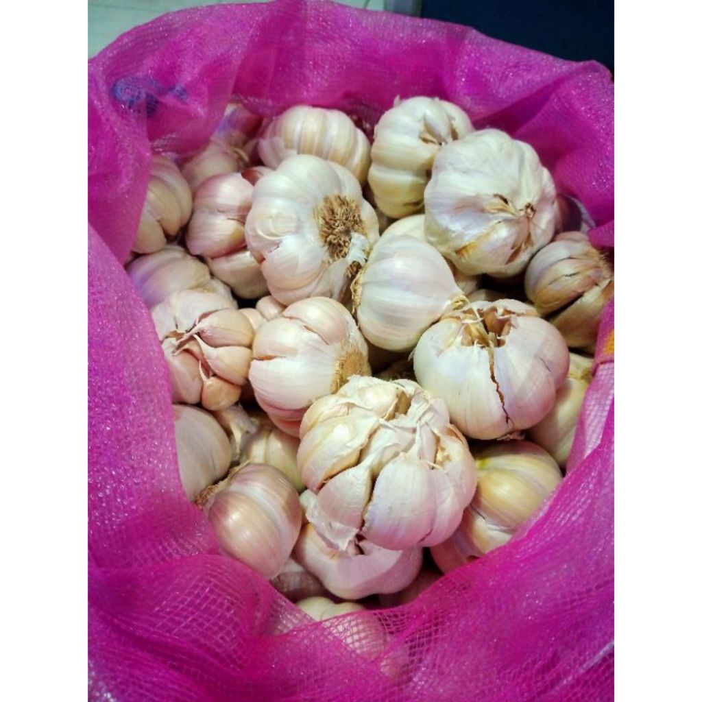 

bawang putih 1kg bersih kualitas super