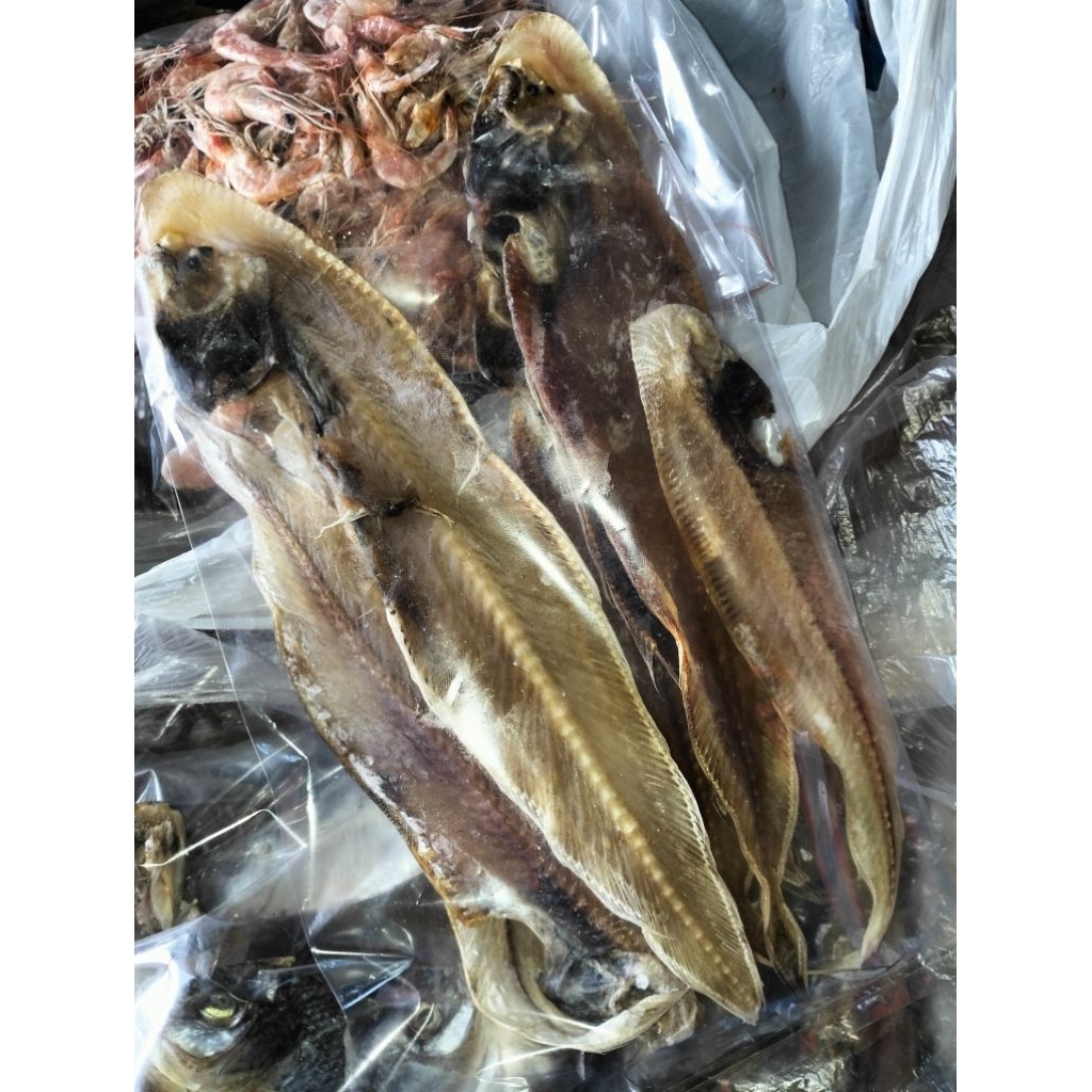 

Ikan Asin lidah lidah