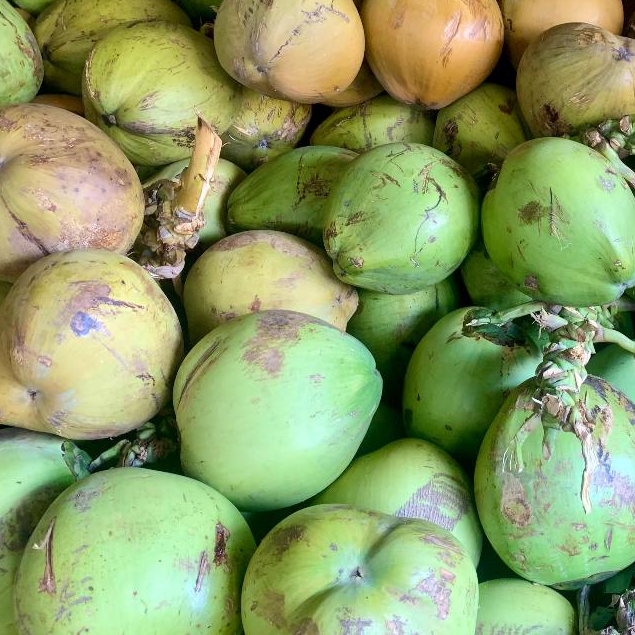 

kelapa | butir JBP Fresh Premium