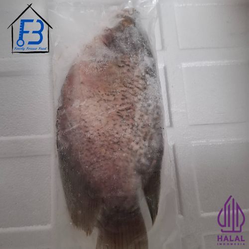 

Ikan Gurame Frozen WGGS 500-600 gr