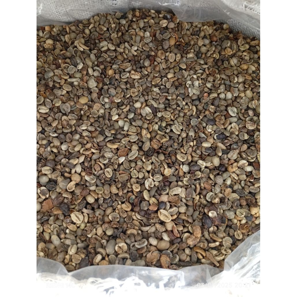 

Kopi Arabika Komersil