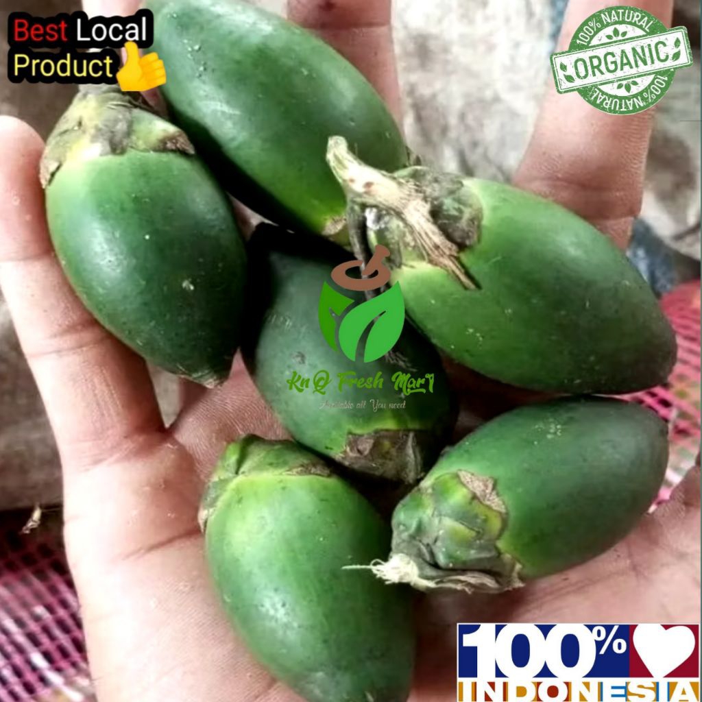 

Buah pinang muda asli segar 1kg