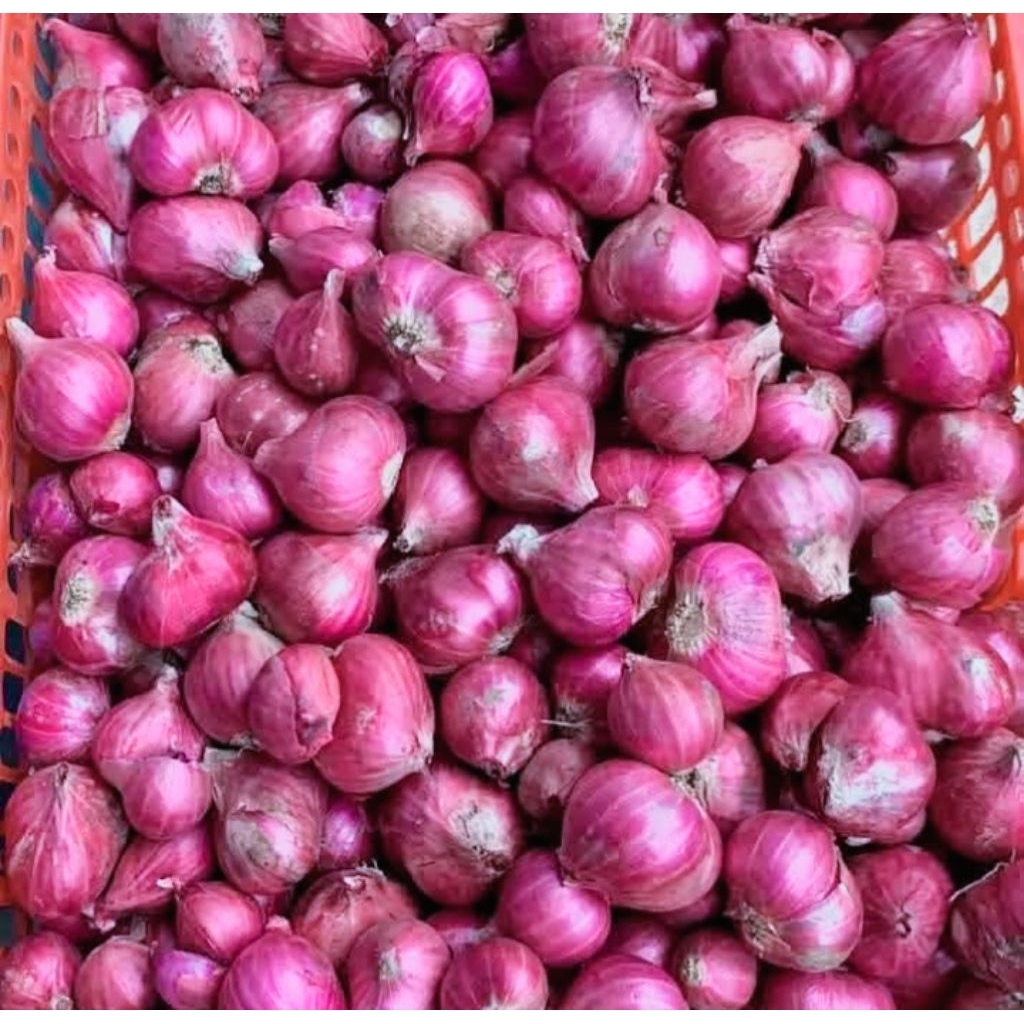 

Bawang Merah Super 1Kg.