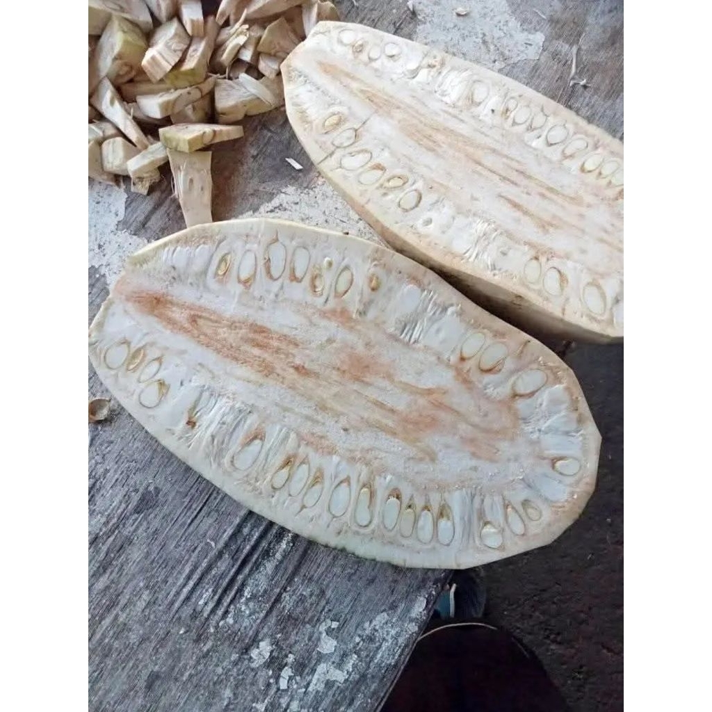 

nangka sayur / nangka muda berat 4kg++