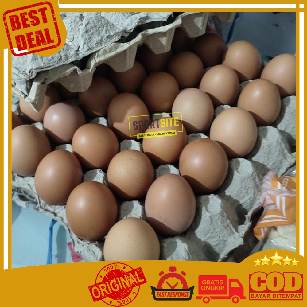 

Telur Ayam Negeri Segar 1kg Bahan Pokok Kebutuhan Pelengkap Masak Makanan Food Cooking Ingredients Fresh Chicken Eggs 1 kg