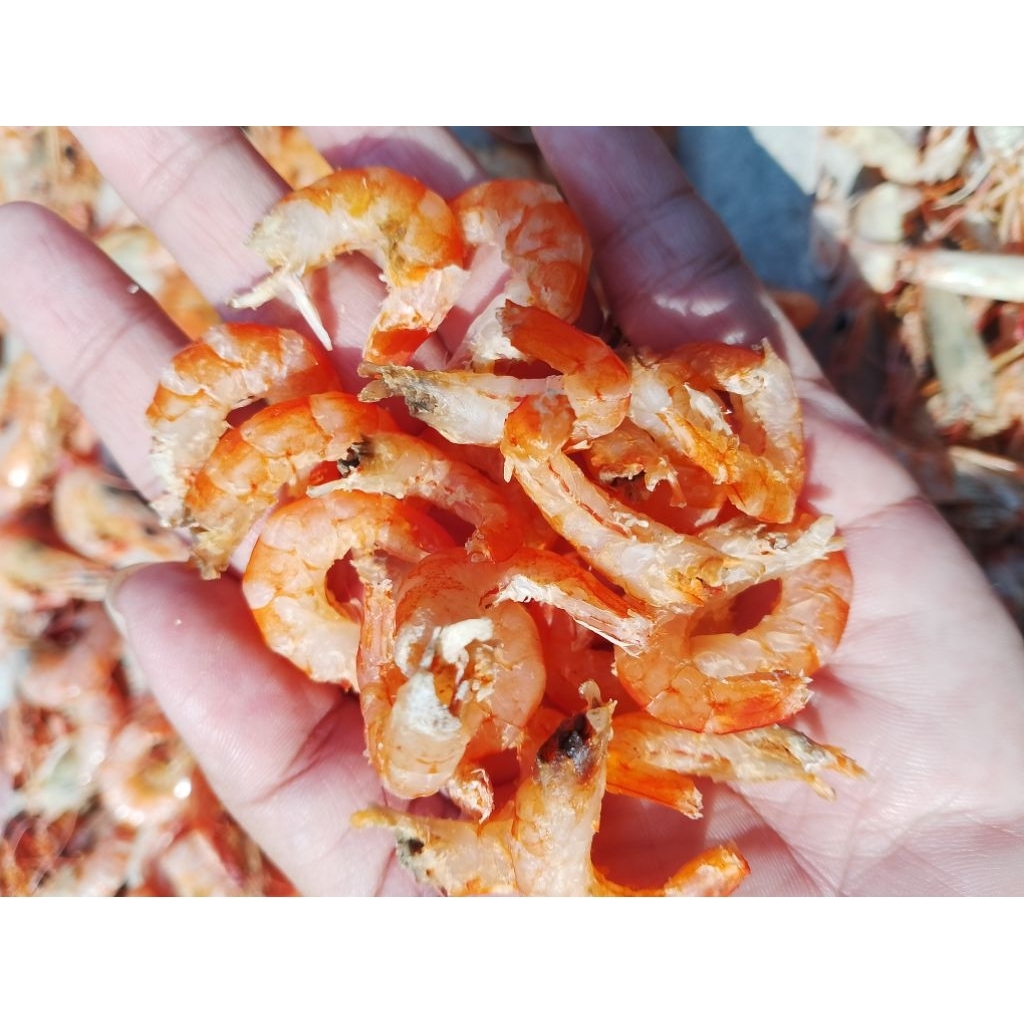 

Udang EBI SUPER PREMIUM/udang kering besar tanpa kulit 100gr