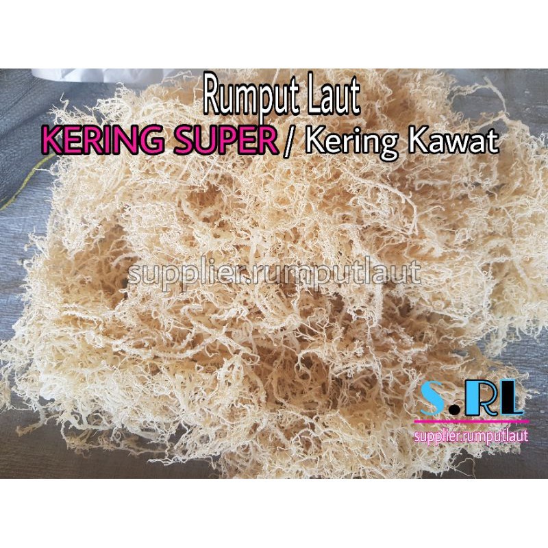 

[oddsolshop] pekanbaru/Rumput Laut Kering Super 1KG Dried Seaweed