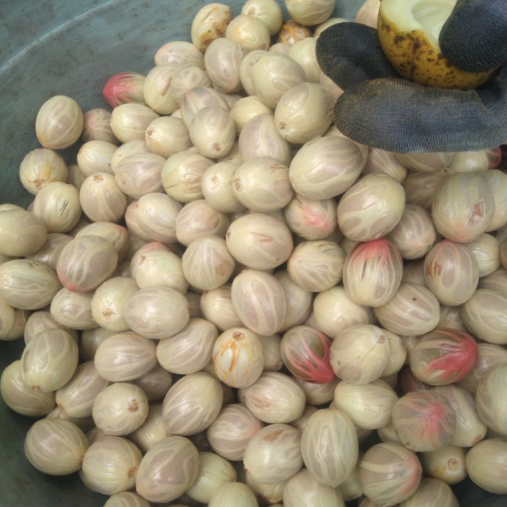 promo biji pala basah segar per 500ggram