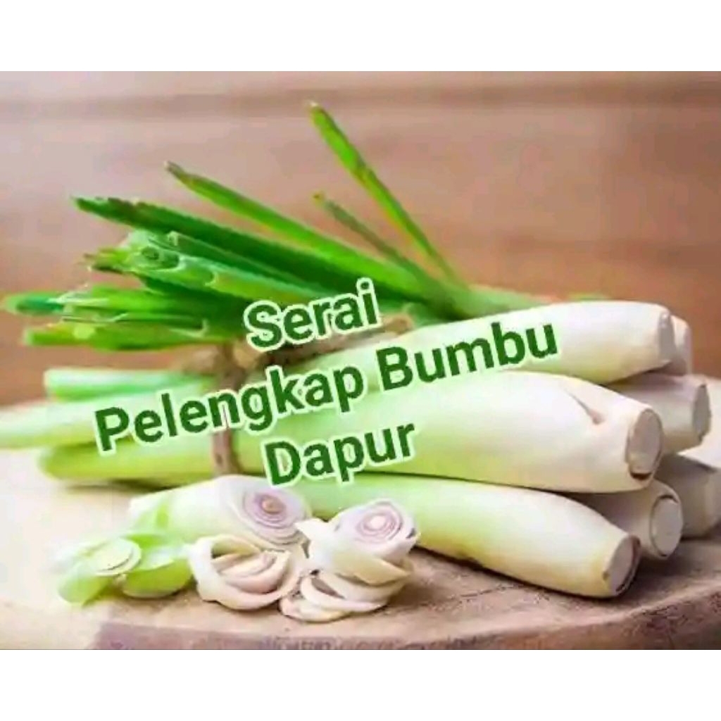 

sereh serai 1000 gram fresh