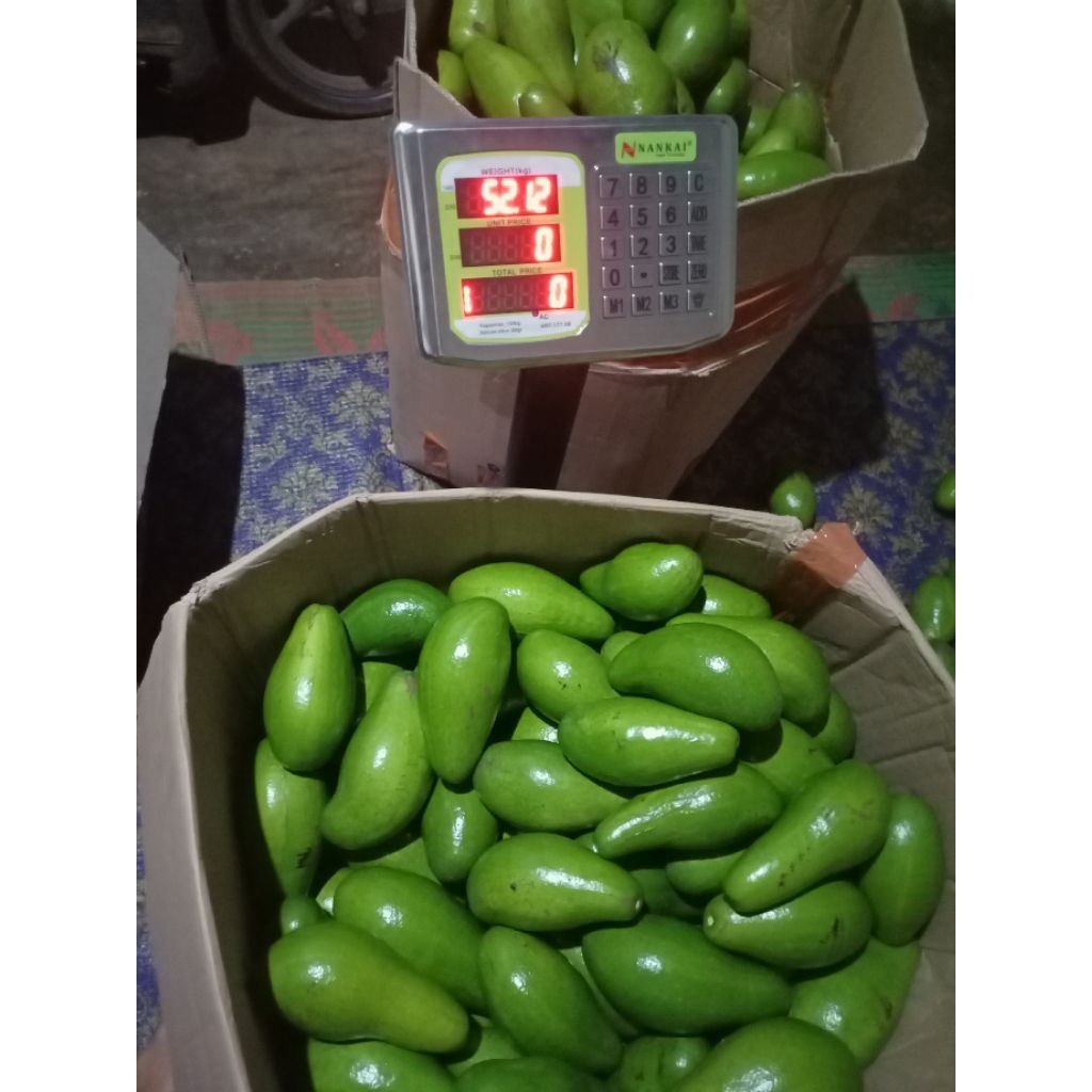 

ALPUKAT SIGER SUPER GRADE A 1KG