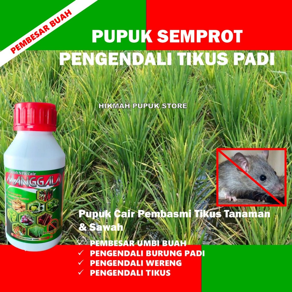 Pupuk MANGGALA Obat Tikus Paling Ampuh 500ml | Pupuk Cair Pembasmi Tikus Tanaman & Sawah | NPK Organ