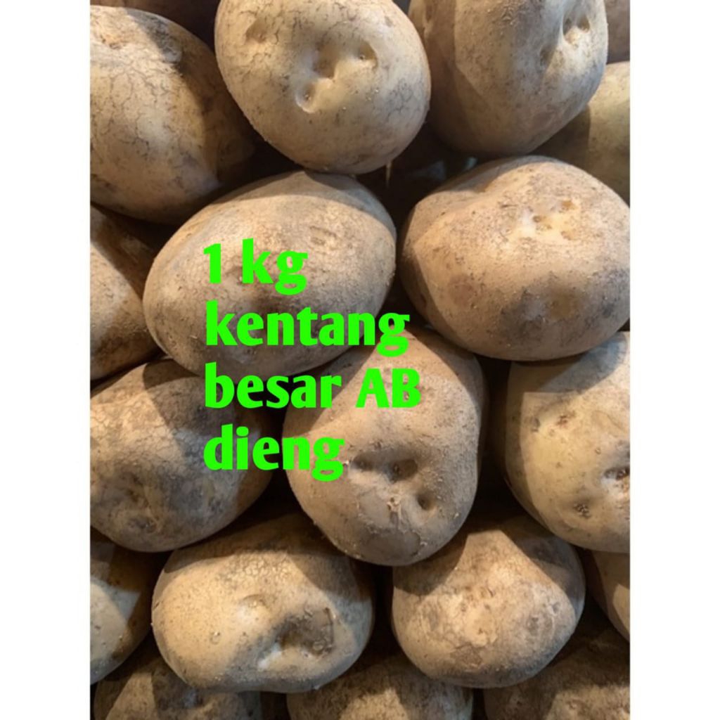 

1kg kentang besar ukuran AB Dieng