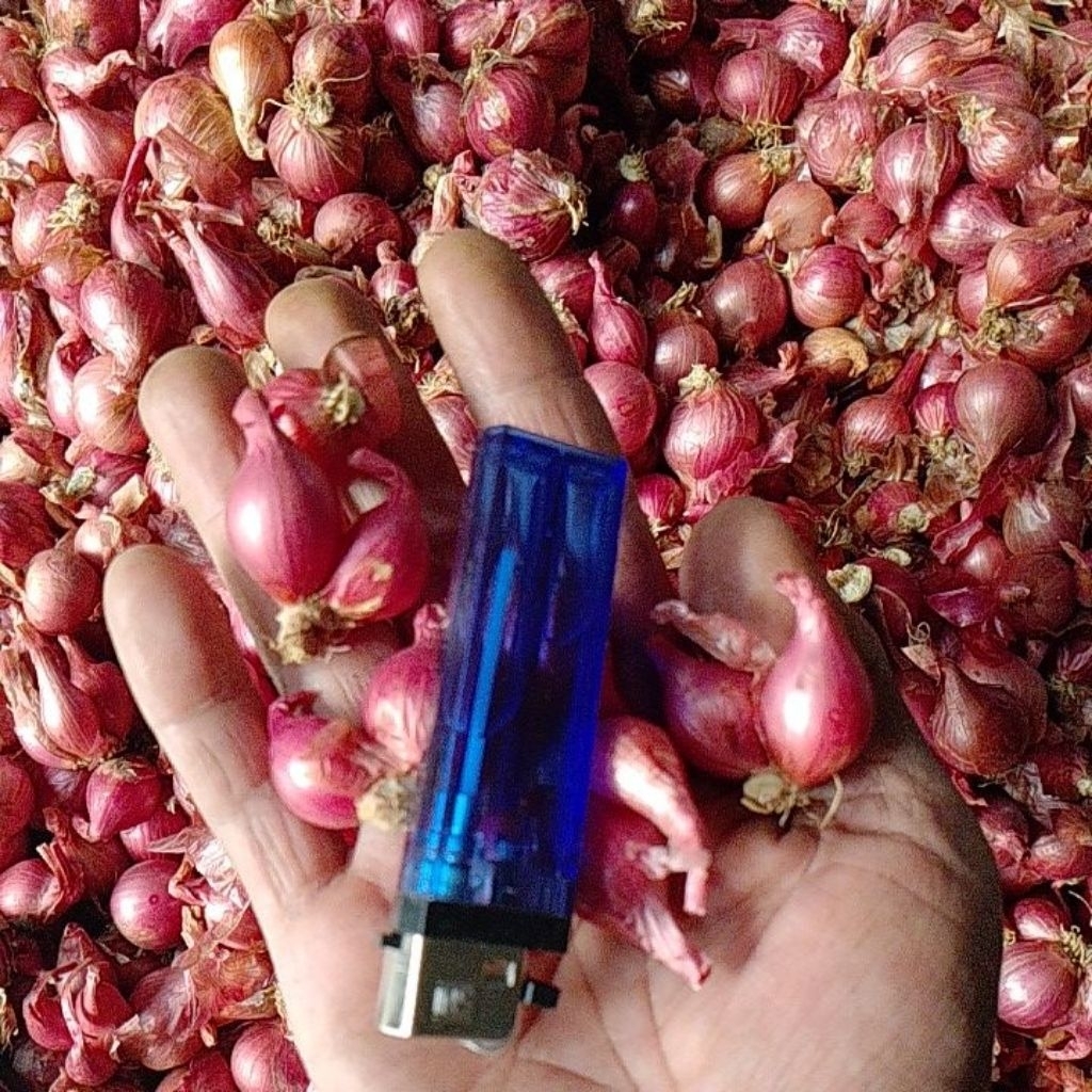 

bawang merah garut ukuran campur besar-sedang-kecil 1kg