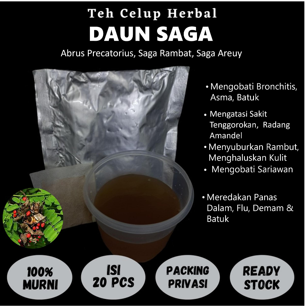 

Teh Celup Herbal DAUN SAGA Mengobati Bronchitis Asma Batuk Sakit Tenggorokan Sariawan Flu Demam