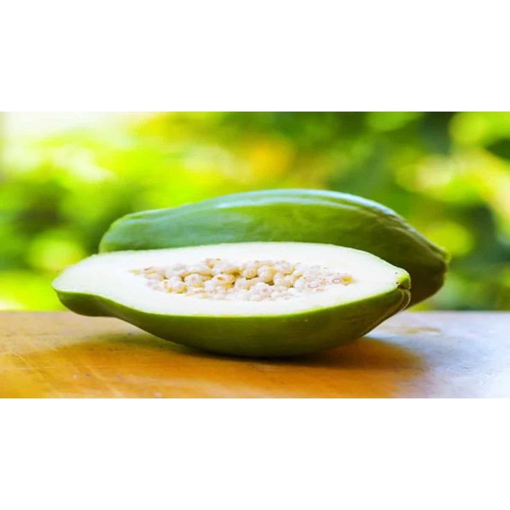 

1 Pcs Pepaya muda / Buah pepaya Muda /pepaya Mentah/ pepaya Sayur