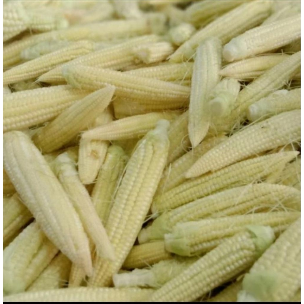 

Jagung semi per 250gr