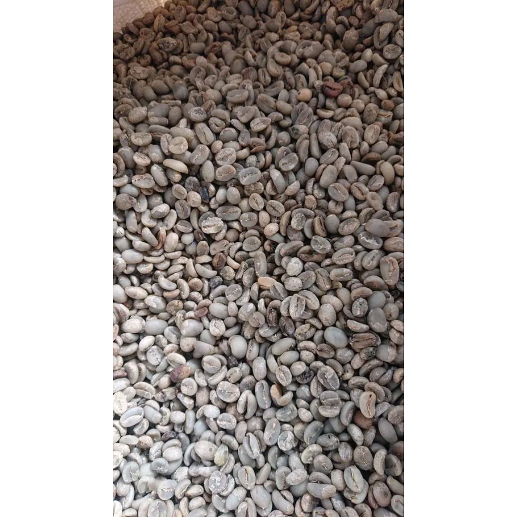 

biji Kopi Robusta Asli Kalimantan/ 1Kg