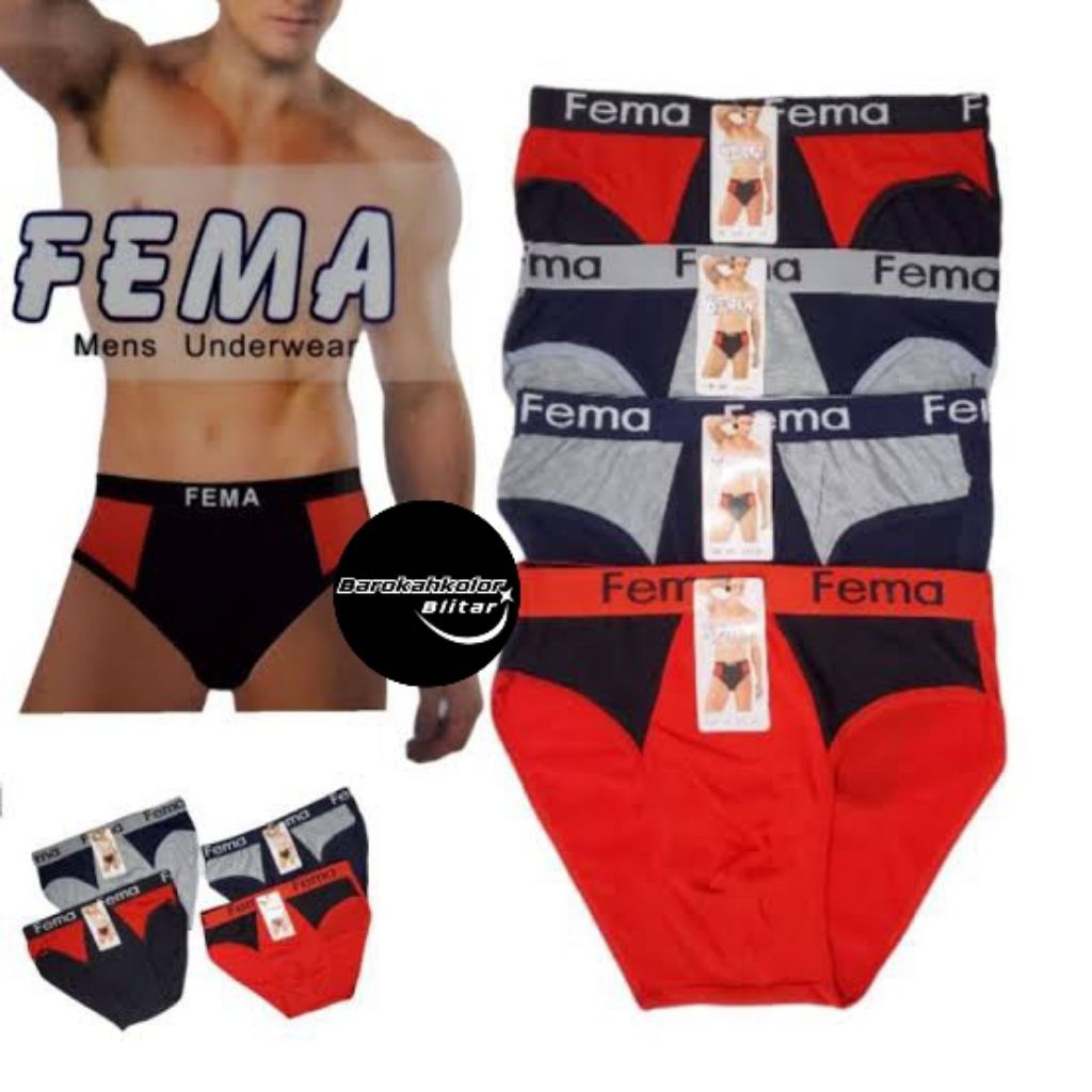 CELANA DALAM-FEMA/CK CELANA DALAM PRIA celana dalam pria ukuran L merek fema&CK  [cd pria fema&ck]