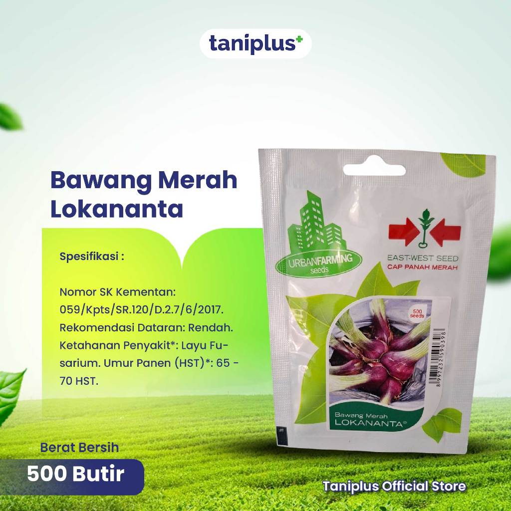 Bawang Merah Lokananta UF 500 Butir - Benih Hortikultura