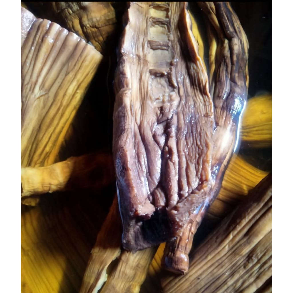 

REBUNG MUDA(BAMBU PETUNG MUDA) KERING SUPER TEBAL