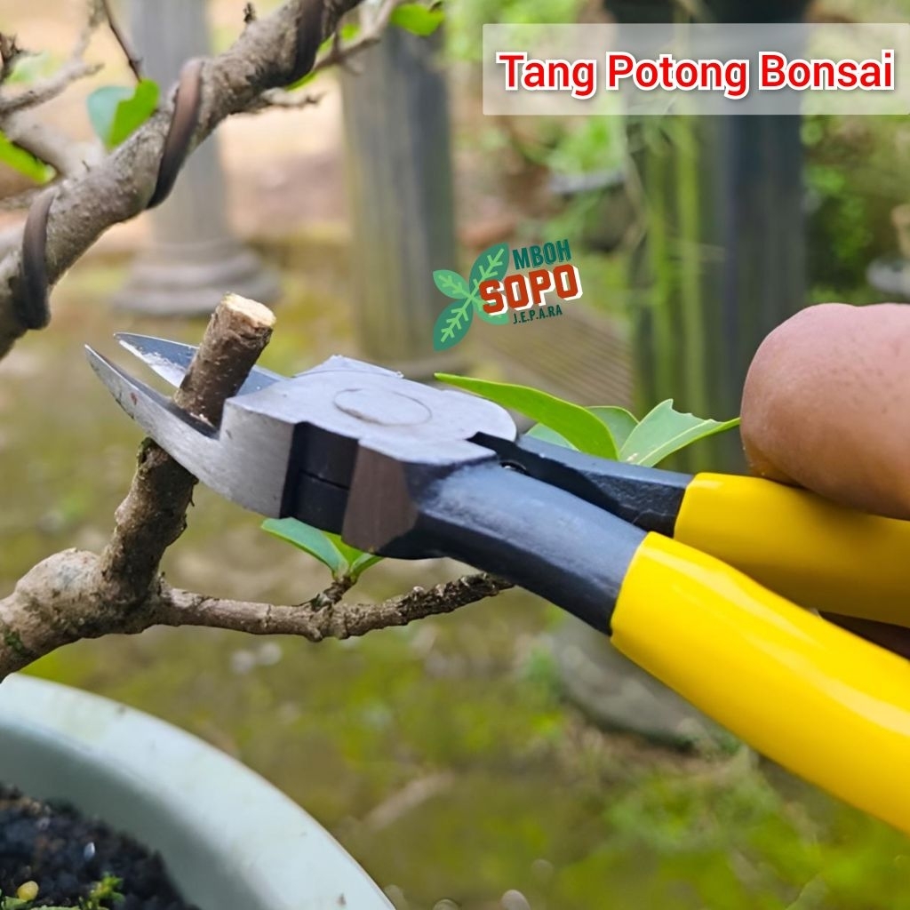 Alat Bonsai, Tang Potong Kawat, Cabang dan Ranting, Tang Bonsai Serbaguna