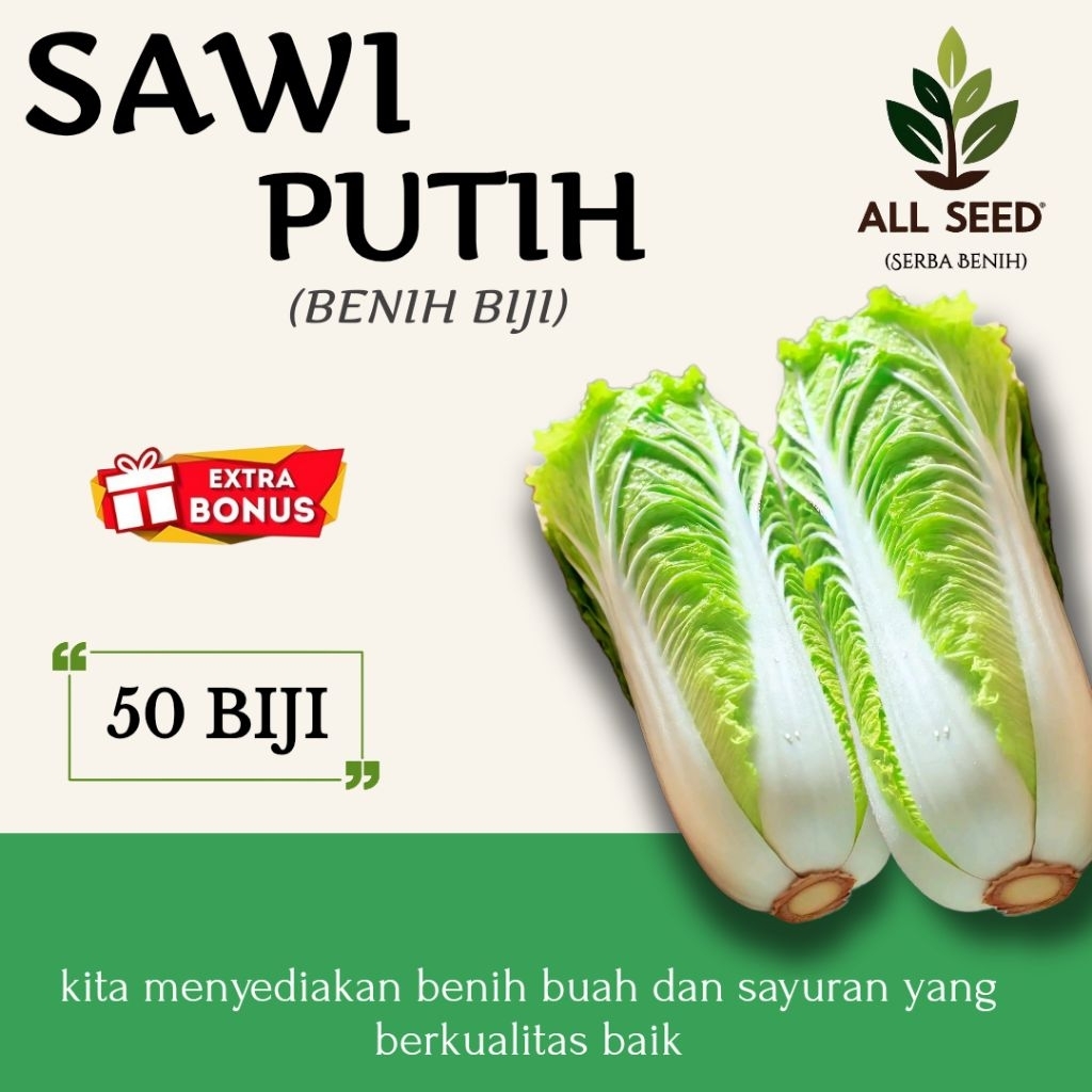 ( 50 biji ) Benih sawi putih | bibit biji sawi putih
