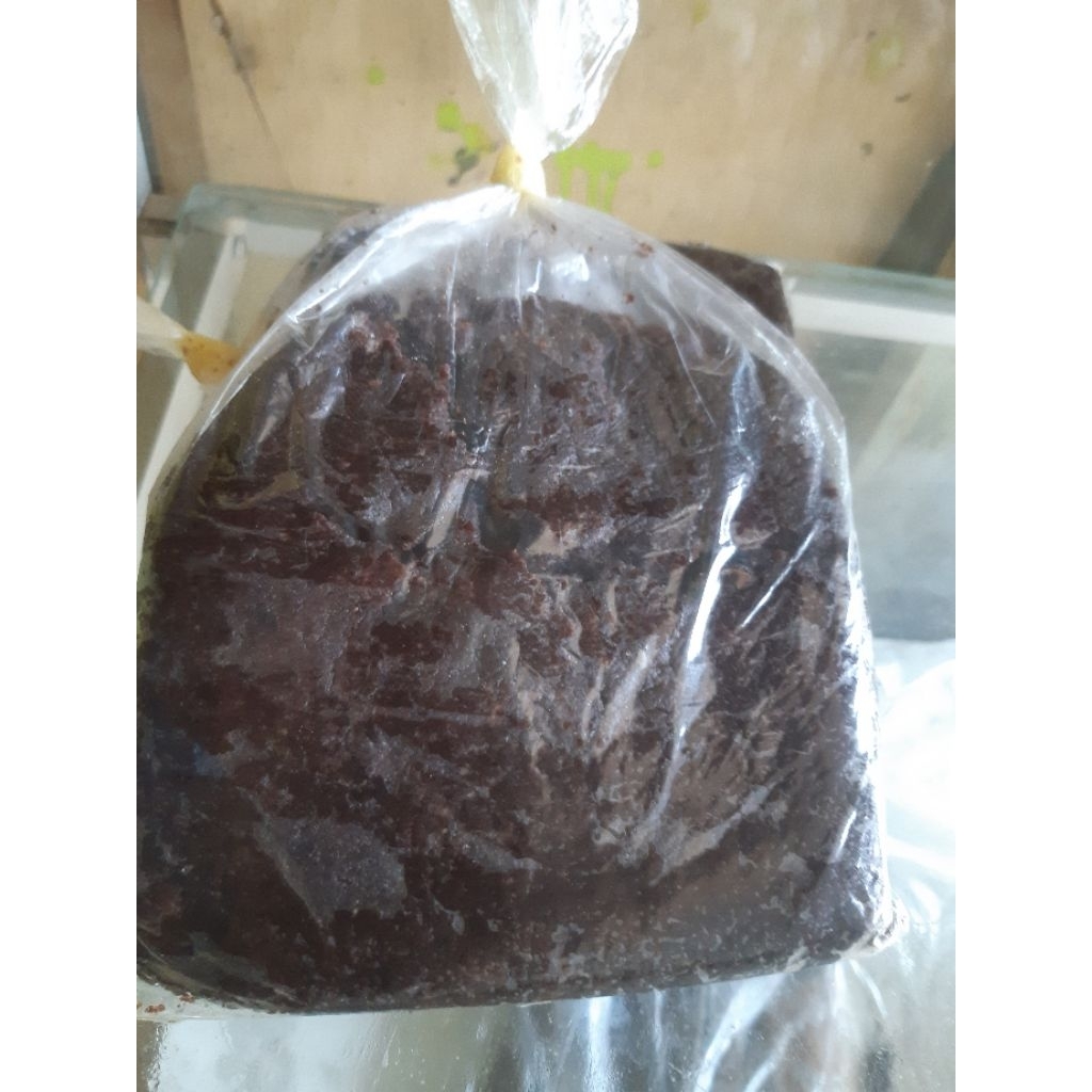 BRONIS bolu Exp umpan jitu galatama lele