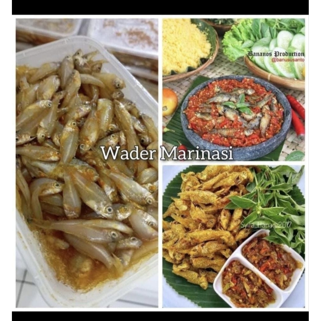 

wader marinasi berbumbu