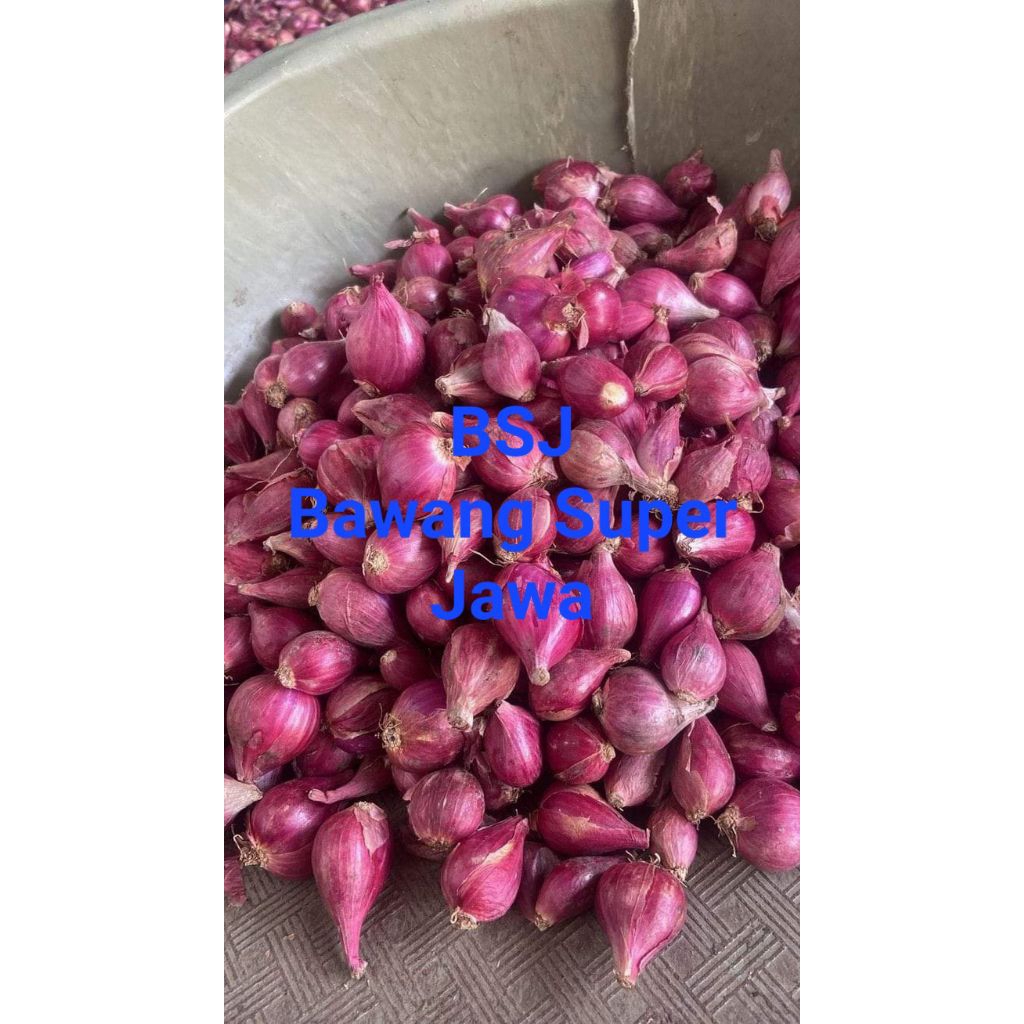 

Bawang Merah Super Asli Brebes 500g