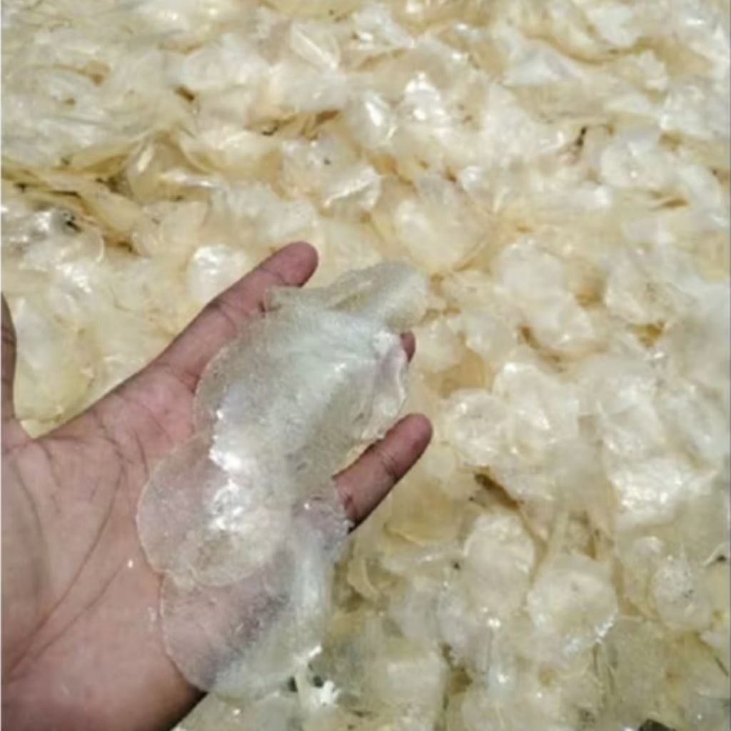 

keripik kaca/pikca mentah kemasan 300g