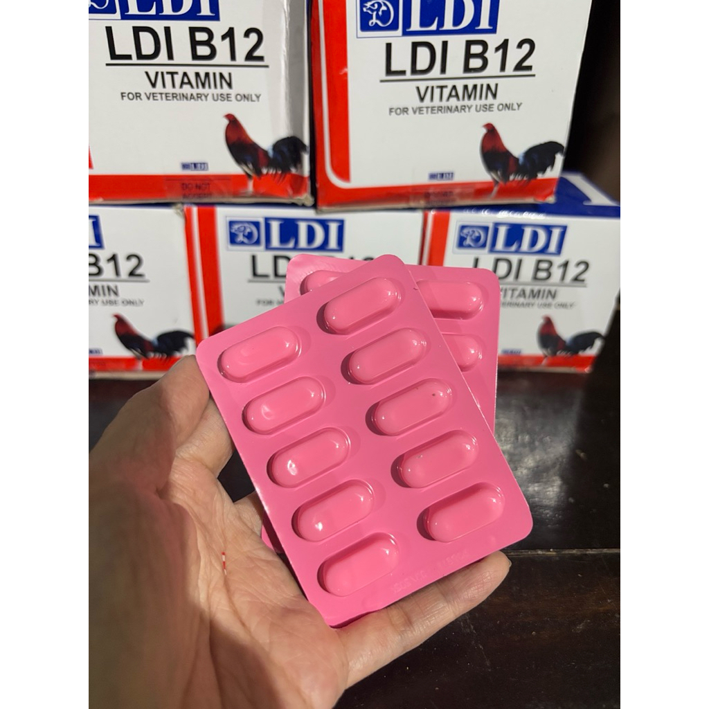 LDI B12 suplemen kesehatan ayam