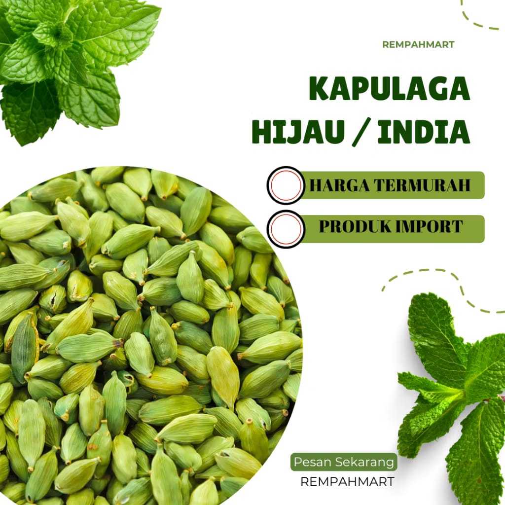 

Bundling 5 kg Kapulaga Hijau Arab India Isi 5.000 kg / Kapulaga Hijau Rempahmart