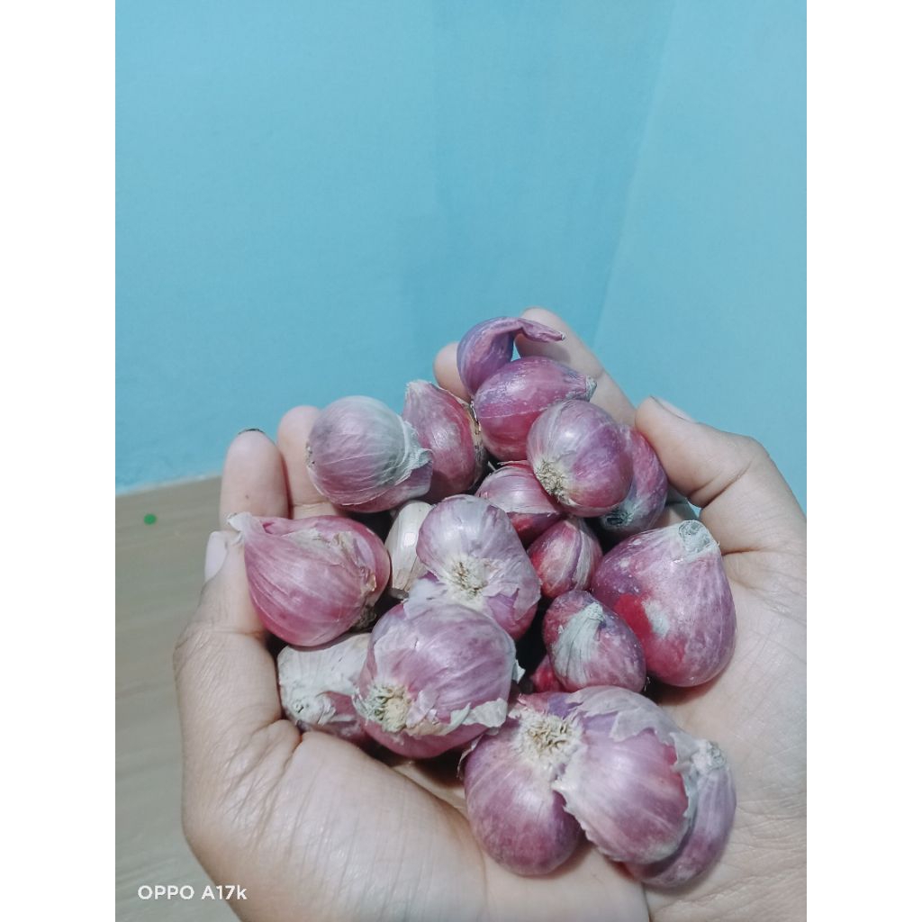 

bawang merah super