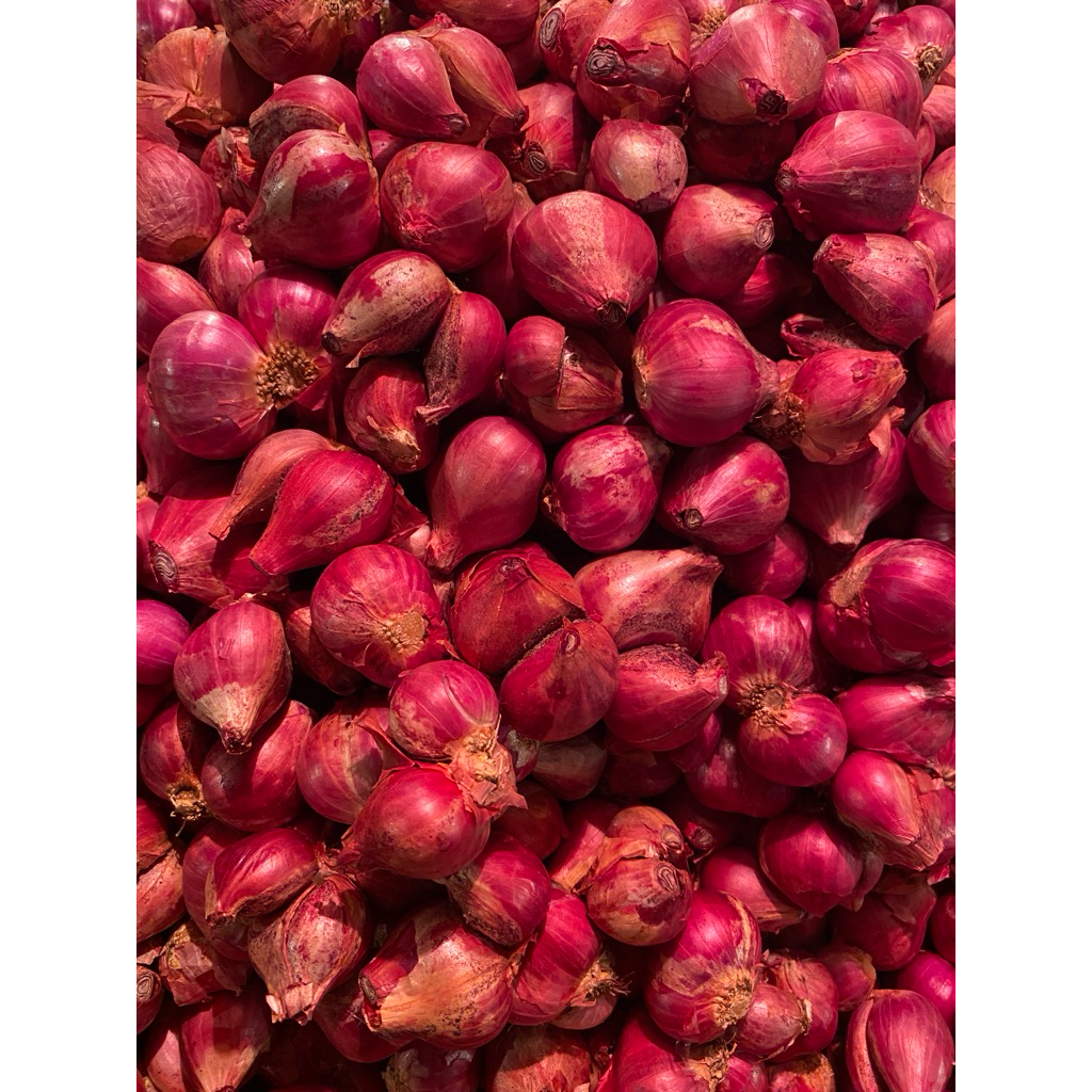 

bawang merah (brambang)