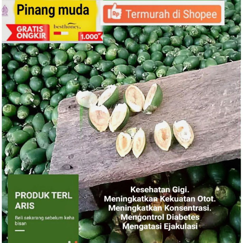 

BUAH PINANG MUDA FRESH SEGAR 1KG/JAME MUDA UNTUK STAMINA