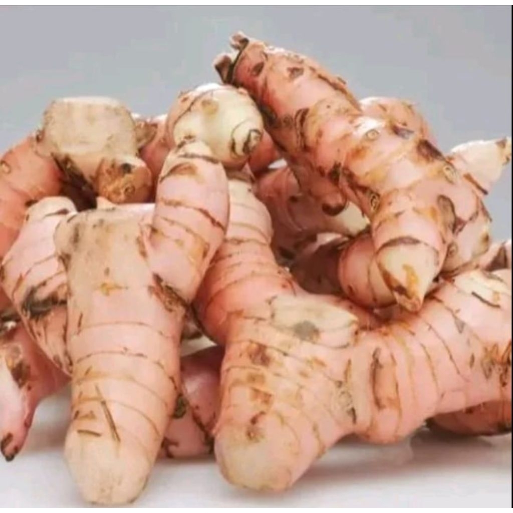 

Laja, Lengkuas, Laos Bahan PENYEDAP Rasa MASAKAN bumbu 100gram