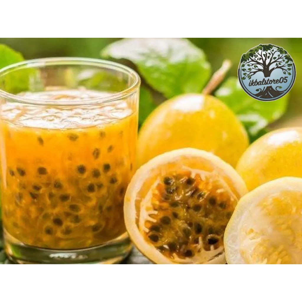 

jual 1kg buah markisa madu super manis dan segar marasi