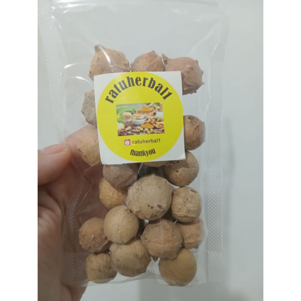 

BUAH MANJAKANI KUALITAS BAGUS PREMIUM