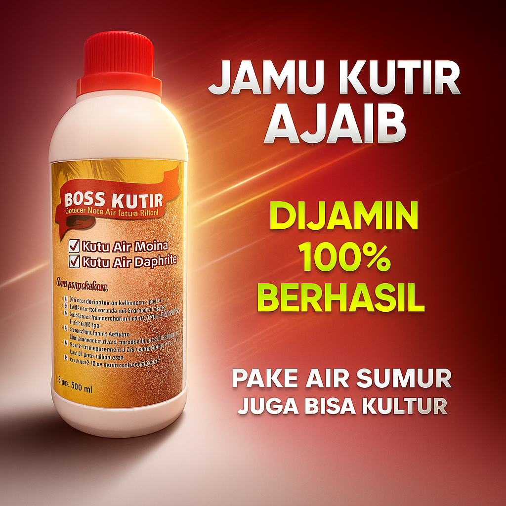 Pakan Kutu Air Hidup Ikan Cupang | Boss Kutir Siap Kultur Tanpa Kohe & Green Water