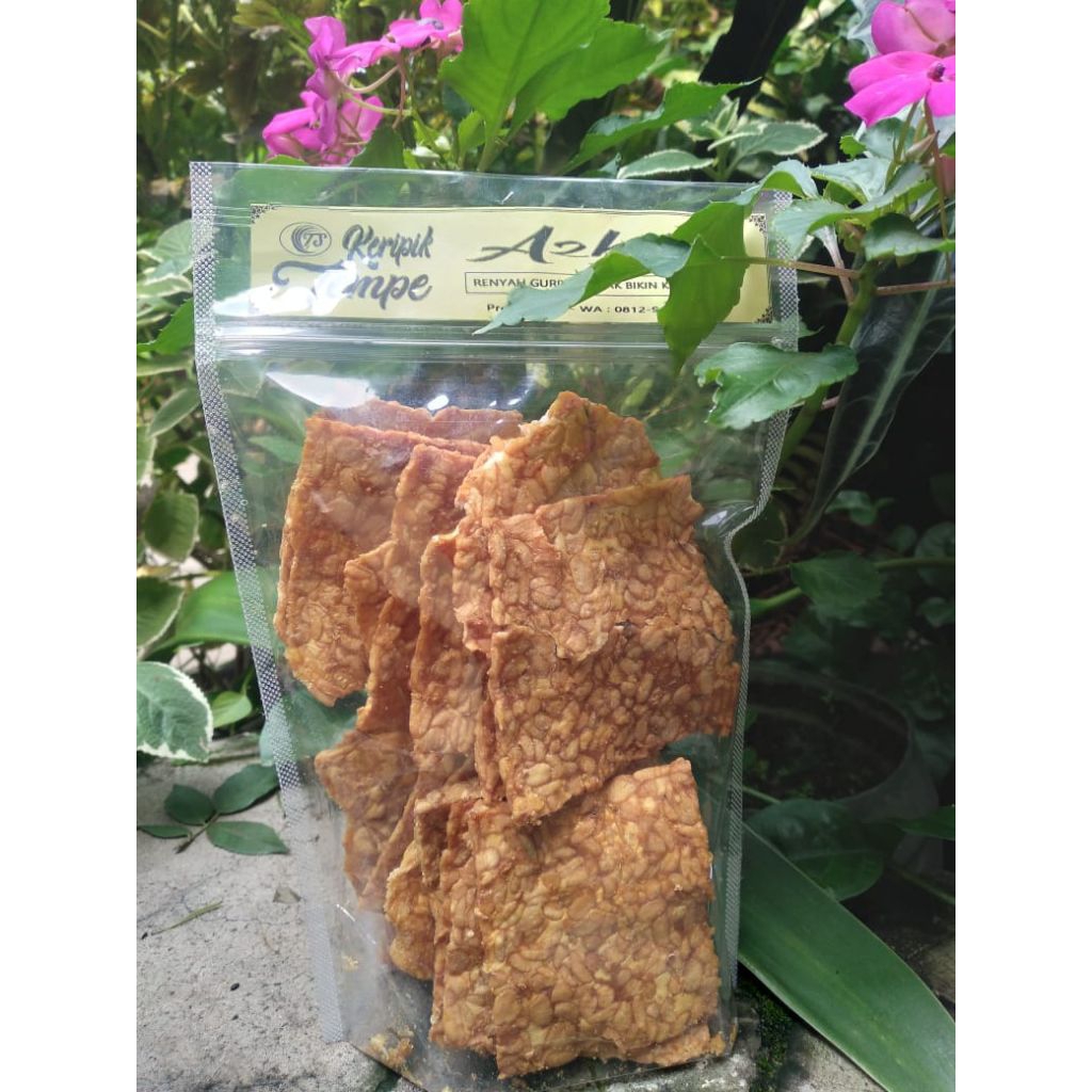 

keripik tempe