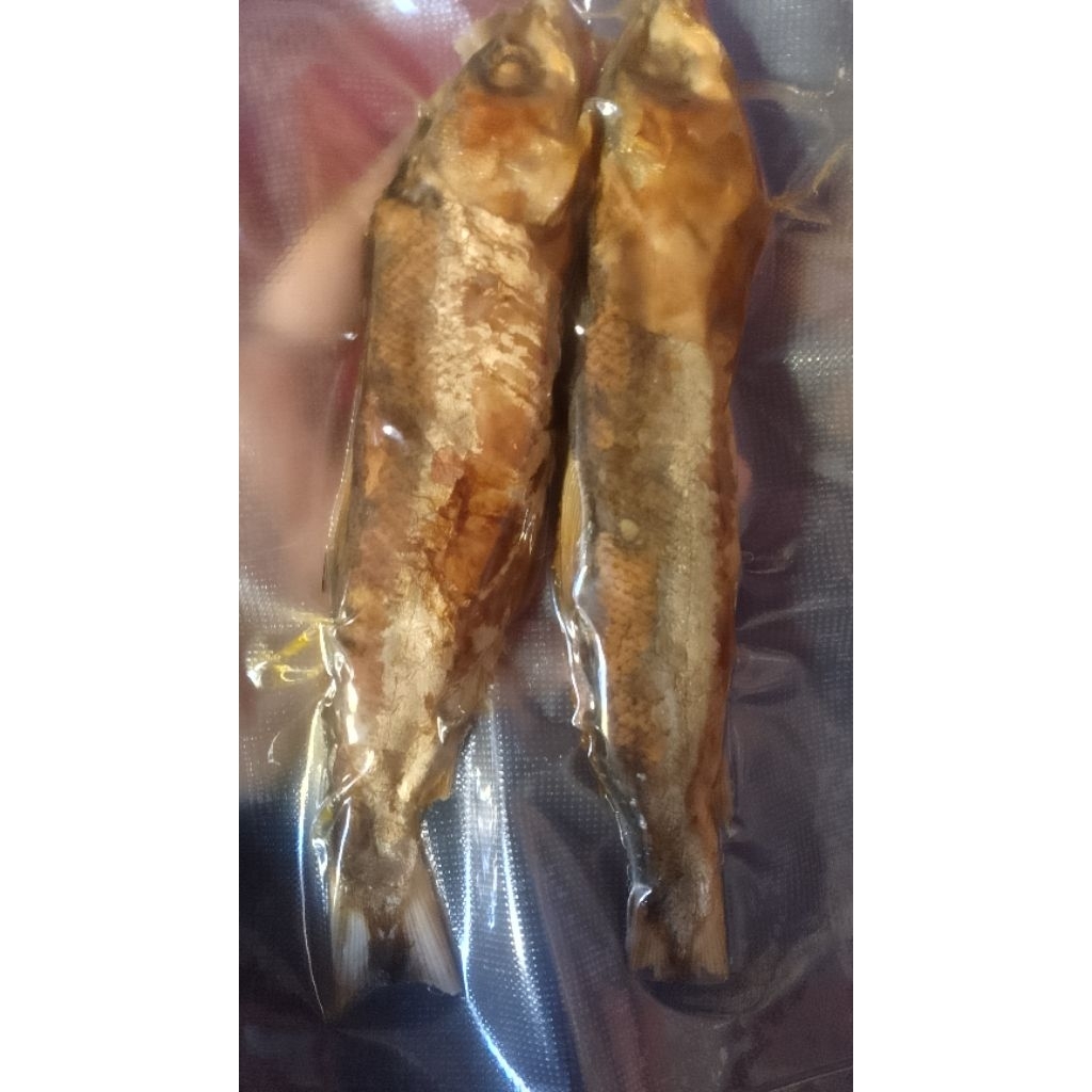 

Ikan gepuk tanpa duri isi 2 ukuran sedang