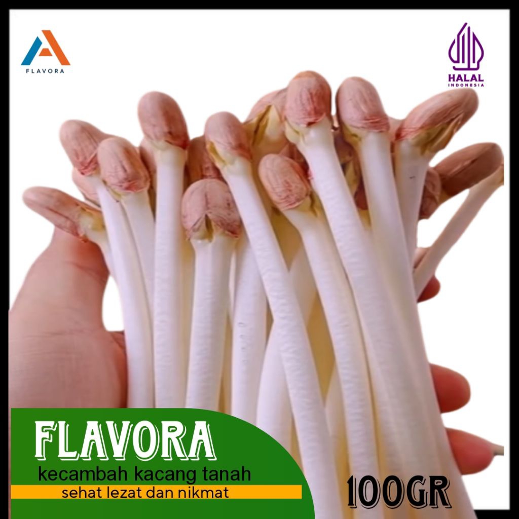

Flavora Kecambah kacang tanah | 100gr