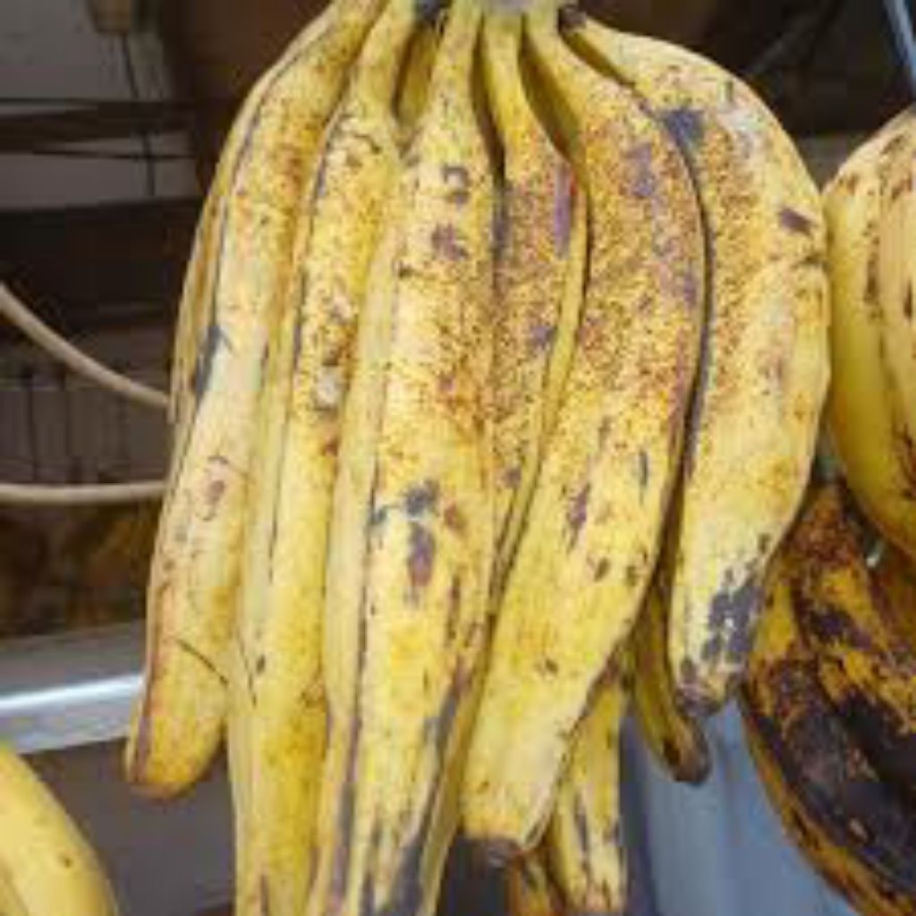 

BUAH PISANG TANDUK/PISANG GALEK 1 PCS