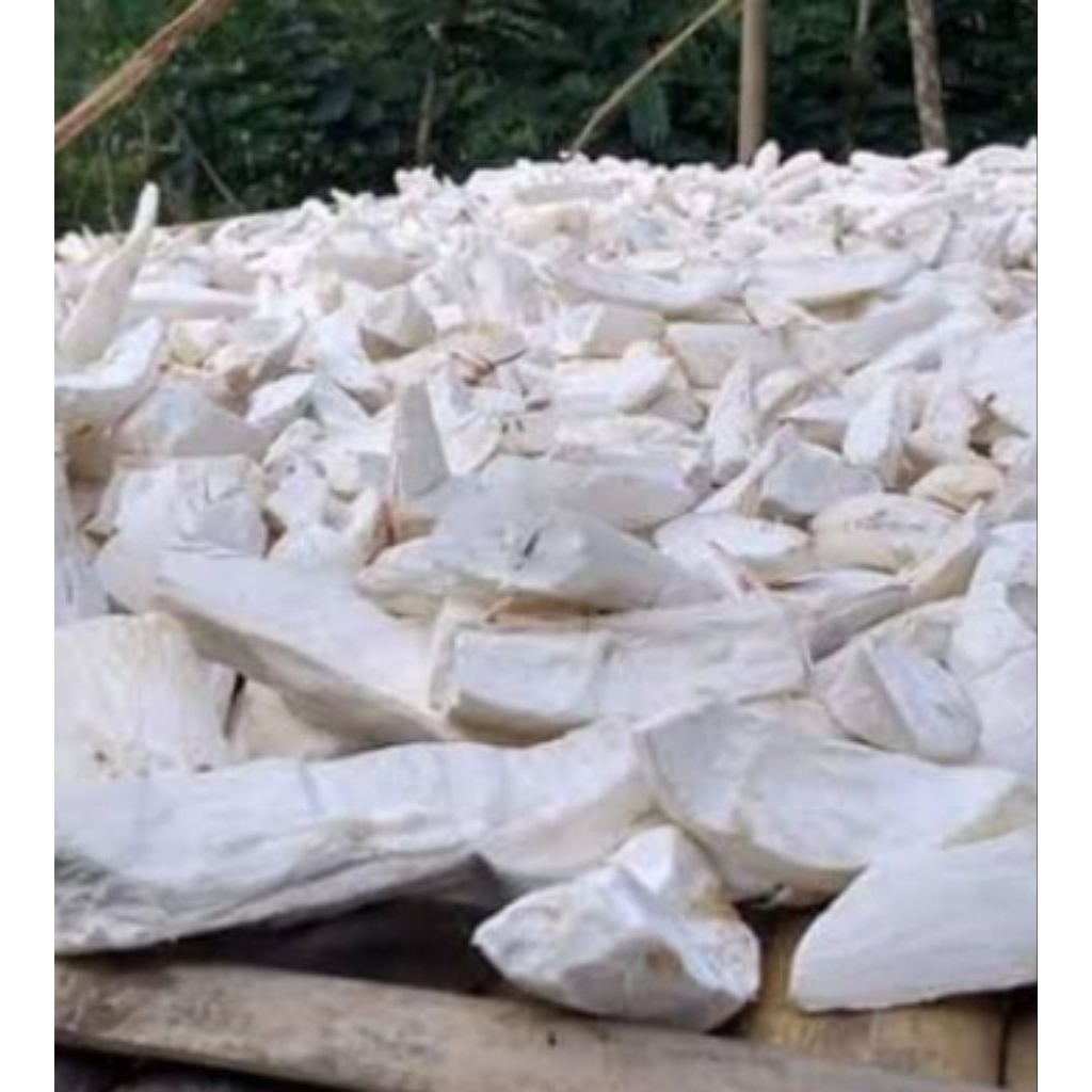 

Jual gaplek singkong kuwalitas bagus 500 grm