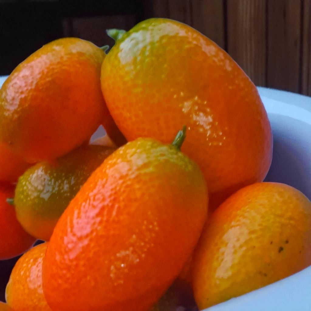 

Jeruk Nagami Fresh dari Petik 500 gram | Sensasi Rasa Unik, Kulit Manis!
