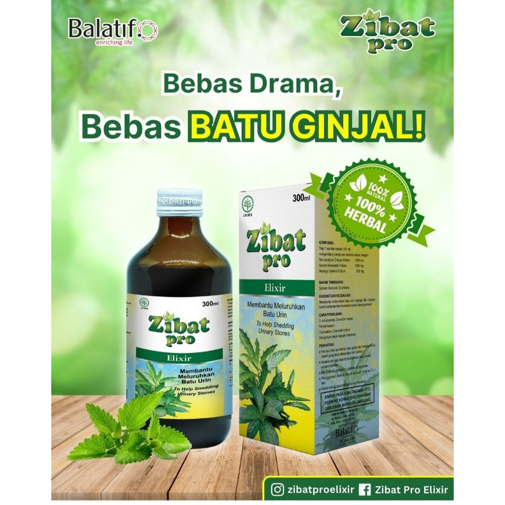 zibat pro 100ml