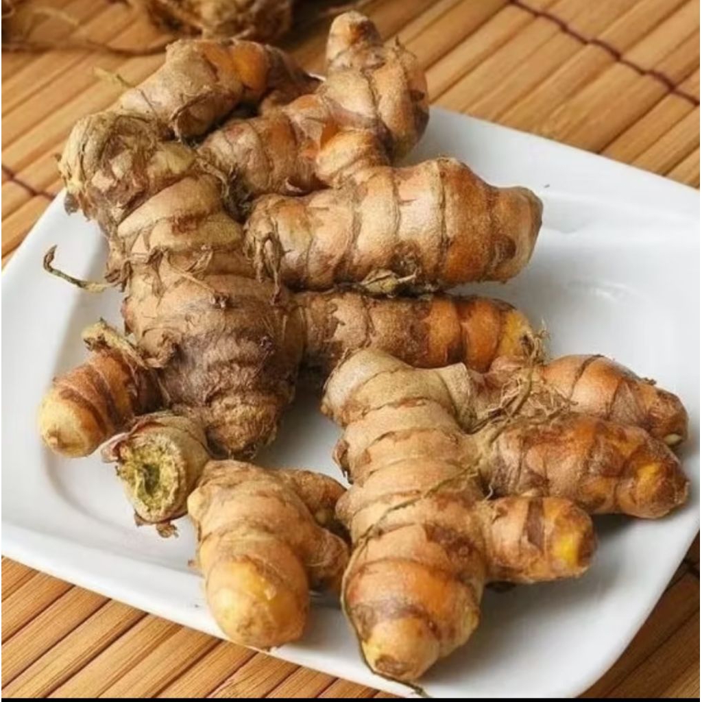 

kunyit masak fresh langsung ambil dari kebun 500 gram