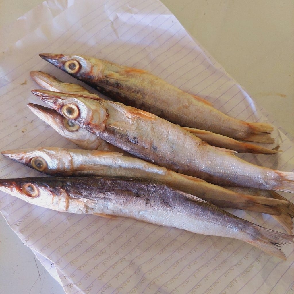 

Ikan Asin TT Maco TT